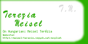 terezia meisel business card